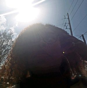 Meet your Posher, Rhysia